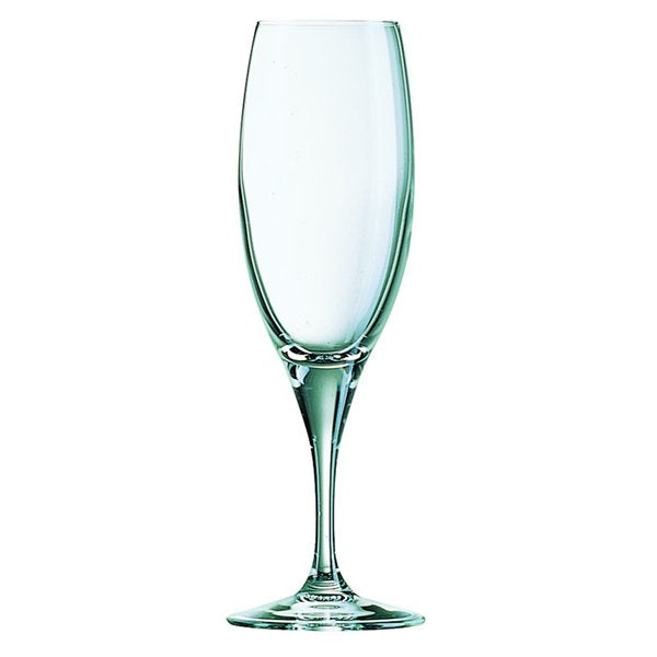 ARCOROC SENSATION CHAMPAGNE FLUTE16CL/5.5OZ