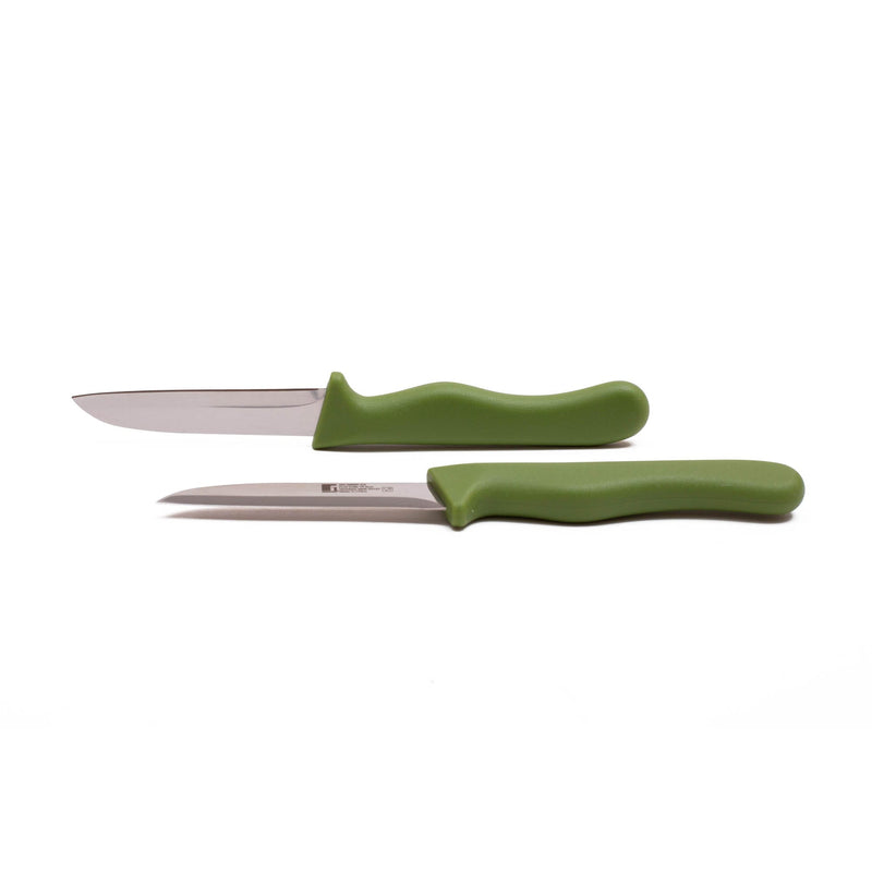 BERGNER 2 PIECE STAINLESS STEEL FRUIT KNIFE SET, GREEN COLOR