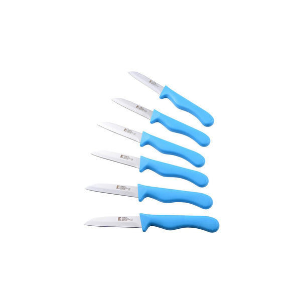 BERGNER 6 PIECE STAINLESS STEEL FRUIT KNIFE SET, BLUE COLOR