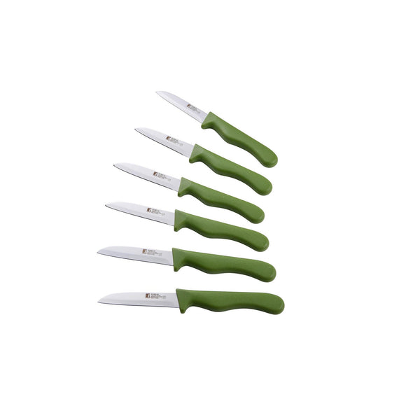 BERGNER 6 PIECE STAINLESS STEEL FRUIT KNIFE SET, GREEN COLOR