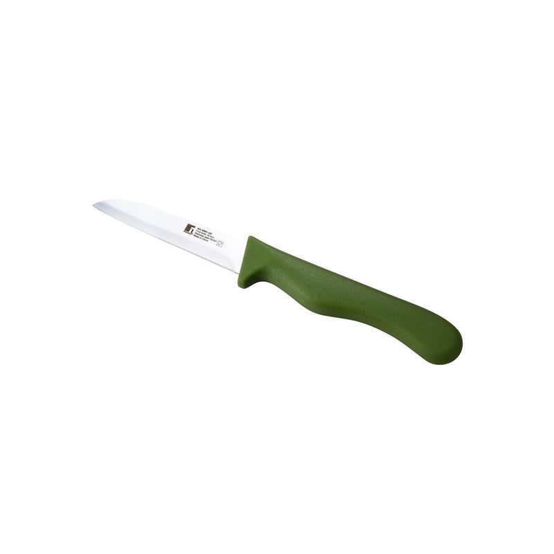 BERGNER 6 PIECE STAINLESS STEEL FRUIT KNIFE SET, GREEN COLOR