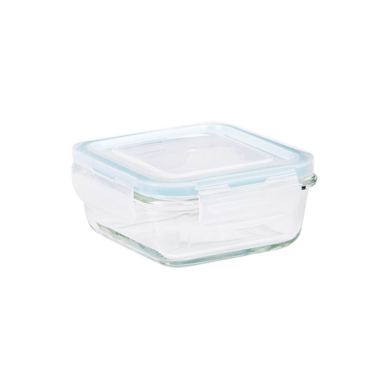 TALIONA BORO PRO SQUARE STORAGE BOX 34 CL, BLUE/CLEAR COLOR