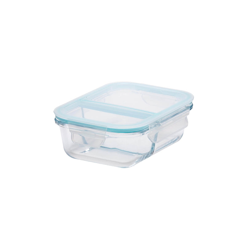 TALIONA BORO PRO RECTANGLE DVIDED STORAGE BOX 64 CL, BLUE/CLEAR COLOR